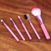 Cosmetic 5 Pcs All-Round Nylon Fiber Makeup Brushes Set - Rose 