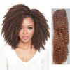3PCS Shaggy Afro Curly Superbe chaleur court résistant fibre Tressage Extension de cheveux pour les femmes - Brun 