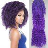 3PCS Shaggy Afro Curly Superbe chaleur court résistant fibre Tressage Extension de cheveux pour les femmes - Pourpre 