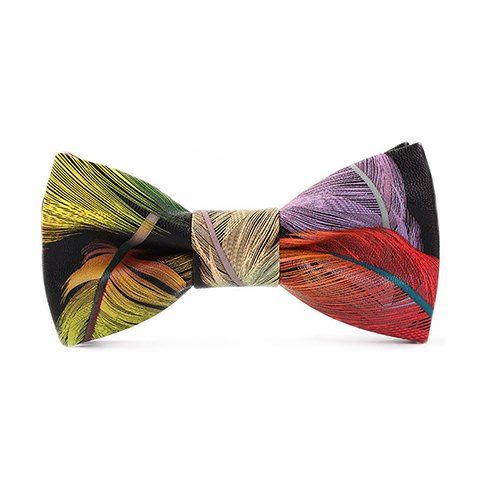 

Stylish Multicolor Feathers Pattern Men's PU Bow Tie, Red