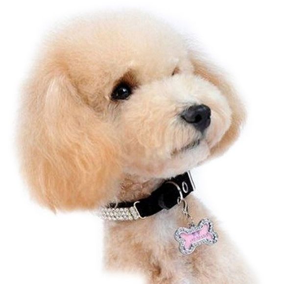 Mode Décor strass Os Chien Type ID Cadre Tag photo - Argent S