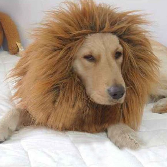 Haute Qualité Pet Accessoires Peluche Lion Conception Perruque Dog - Brun 