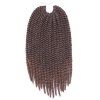 Vogue Braids synthétique Brown Gradient Sénégal Twists Extension de cheveux pour les femmes - multicolore 
