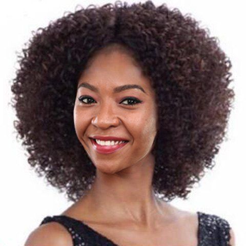 Shaggy Afro Ondé Moyen synthétique Nobby Dark Brown capless perruque pour les femmes - marron foncé 