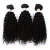 3 Pièces / Lot Extensions de Cheveux Humains Vierges Indiens 8A Frisées pour Femmes - Noir 14INCH*16INCH*16INCH