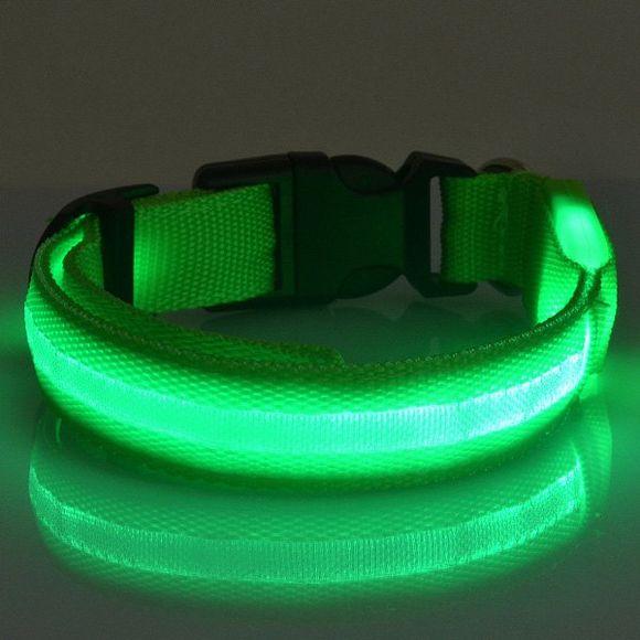 Corde lumineuse haute luminosité Nylon Novelty LED Collar Pour Pet Dogs - Céladon 