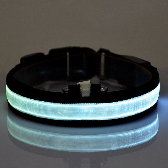 Nouveauté LED Collar Luminous Night Walk Nylon tissé pour les chiens - Blanc M