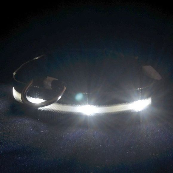 Energy-Saving LED Luminous Night Walk boucle en métal collier pour chiens - Blanc S