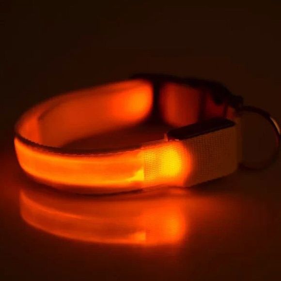Collier pour Chiens Chic à Surface Lisse avec Boucle en Métal et Lumière LED - Orange M