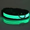 Nouveauté LED Collar Luminous Night Walk Nylon tissé pour les chiens - Céladon S