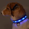 Eye-Catching Night Walk Dotted LED Nylon Luminous Chiens Collier - bleu eau L
