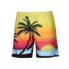 Casual Lace Up Straight Leg Coconut Palm Printed Boardshorts - multicolore XL