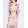 Trendy Embroidered Lace Bodycon Dress - APRICOT S