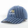 Style Active Équipement Baseball Broderie été Sunscreen rayée verticale Baseball Hat - Bleu 