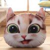 Forme amovible Big Eyes Cathead 3D éponge Rembourrage Oreiller Cartoon - Brun Légère 