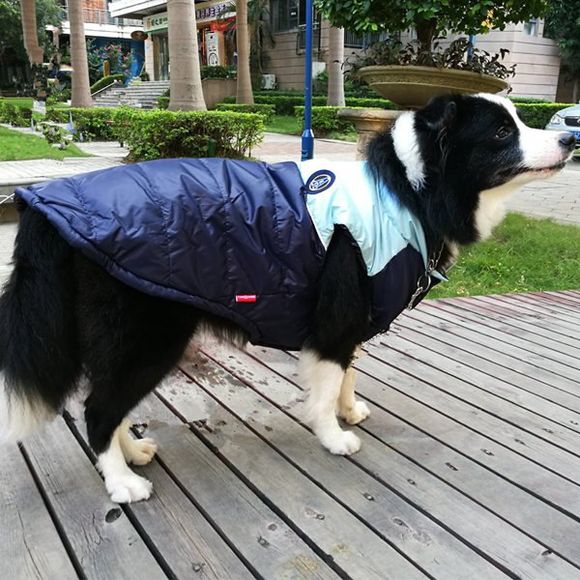 Hiver Vêtements Gilet de veste pour chien Pet - Bleu profond XL