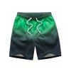 Shorts de bain couleur dégradé - Vert 2XL