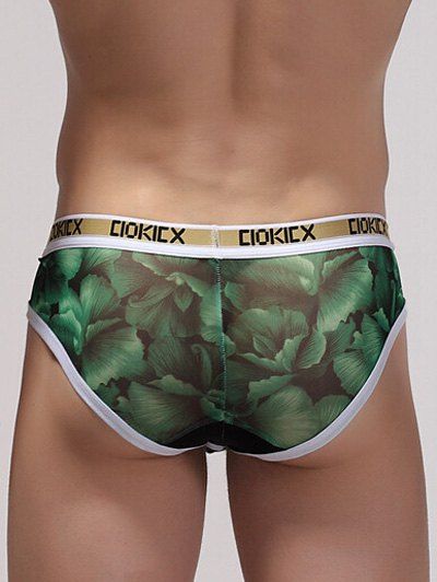 2017 3d florals pattern u pouch design voile briefs green 2017 3d florals pattern u pouch design voile briefs green
