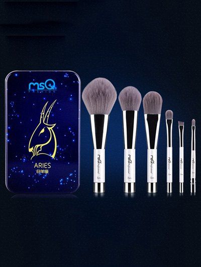 

6 Pcs Aries Magnetic Makeup Brushes Set with Iron Box, Blue