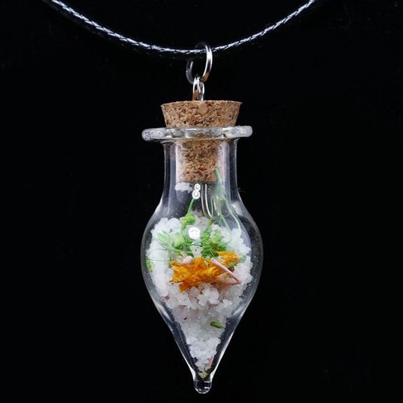 Collier  éffilé bouteille à fleur séchée - Transparent 