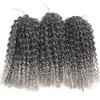 Court synthétique Fluffy Curly Hair Extension - Noir et Gris 