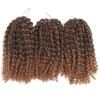 Court synthétique Fluffy Curly Hair Extension - Noir et Brun 