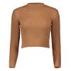 High Neck Cropped Sweater - EARTHY ONE SIZE