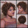Capless perruque synthétique Brown Trendy mixte court Afro Curly Fluffy Spiffy femmes - multicolore 