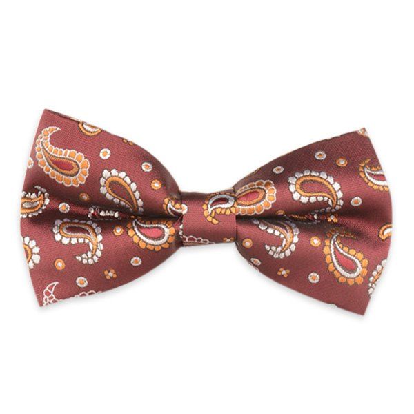 

Paisley Embroidery Vintage Bow Tie, Wine red
