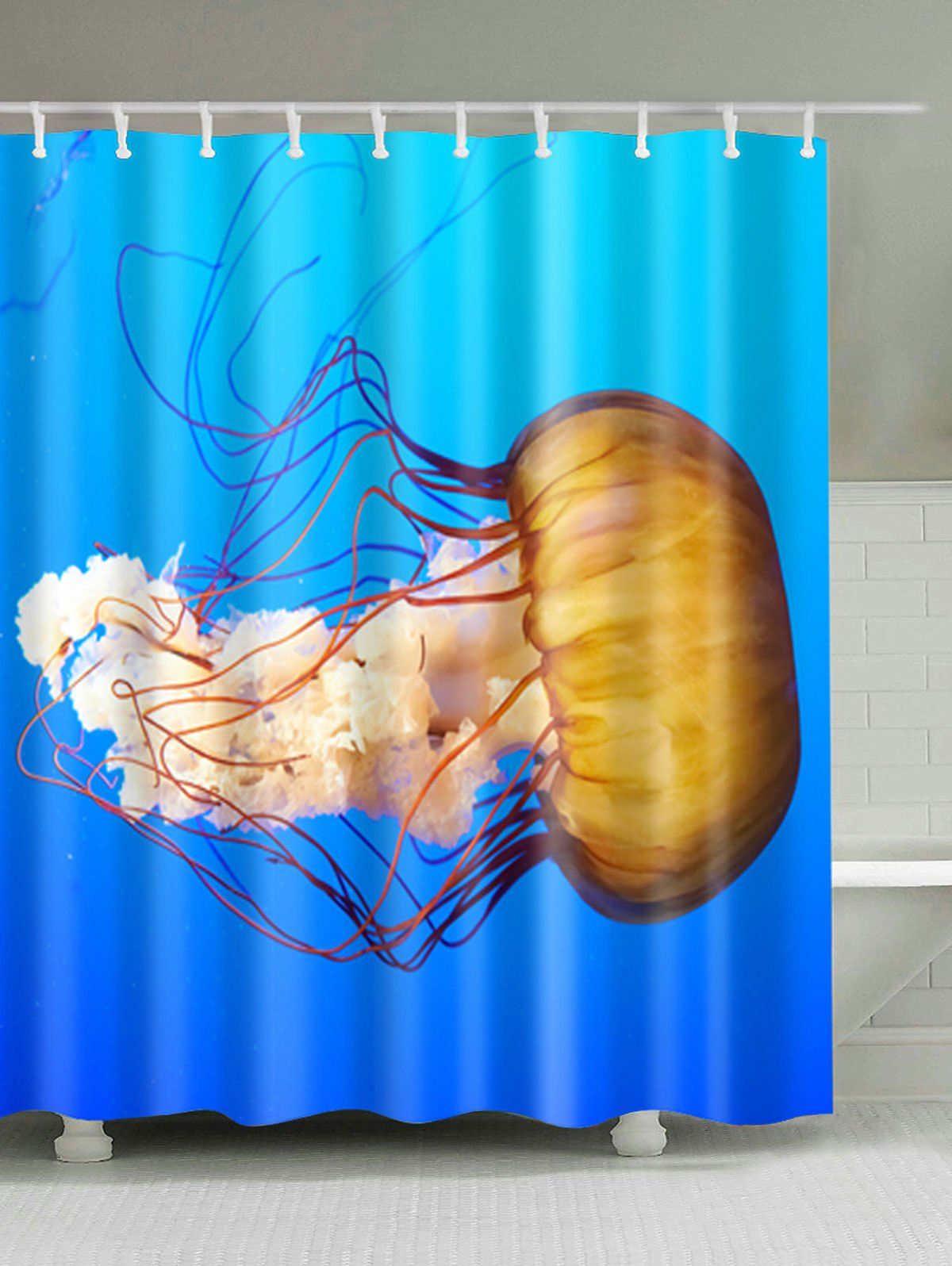 shower cap jellyfish