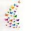 3D Butterfly DIY Wall Sticker Set Home Decoration - COLORMIX 