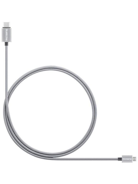 Câble USB 1 m Type C pour Transfert de Données 3.1 - Gris argenté 
