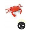 Jouet Simulation Crabe avec Télécommande Infrarouge - Rouge 