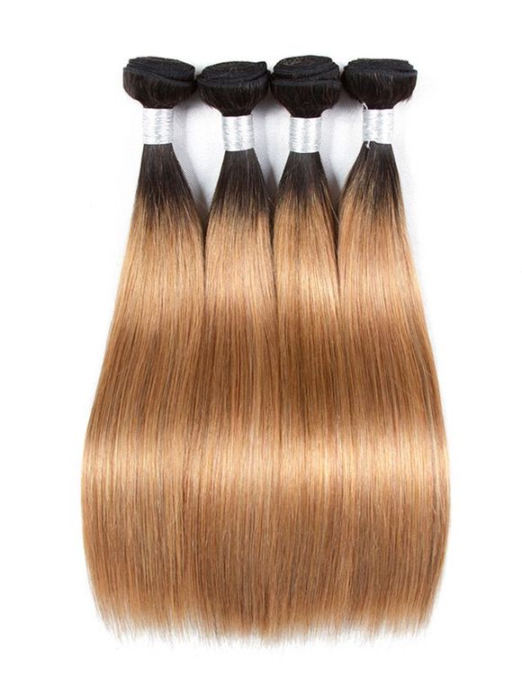 Perruque de Cheveux Humain Longue Droite Ombrée - multicolor A 14INCH