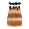Perruque de Cheveux Humain Longue Droite Ombrée - multicolor A 14INCH