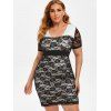 Plus Size Lace Sheer Plunge Fitted Dress - BLACK L
