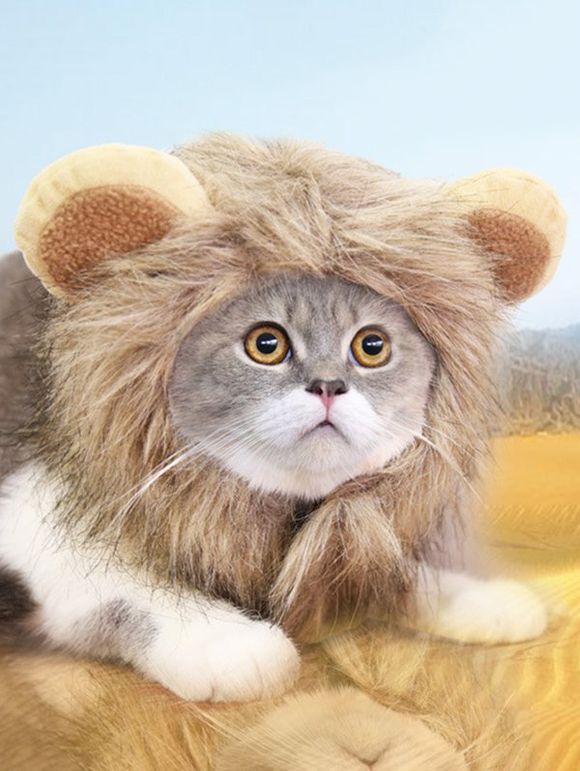 Chapeau Réglable Chat Lion Design pour Halloween - multicolor A 
