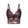 Soutien-Gorge Long en Dentelle Transparente de Grande Taille - Rouge foncé 4XL