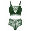 Ensemble de Soutien-Gorge en Dentelle à Treillis de Grande Taille - Vert profond 4XL