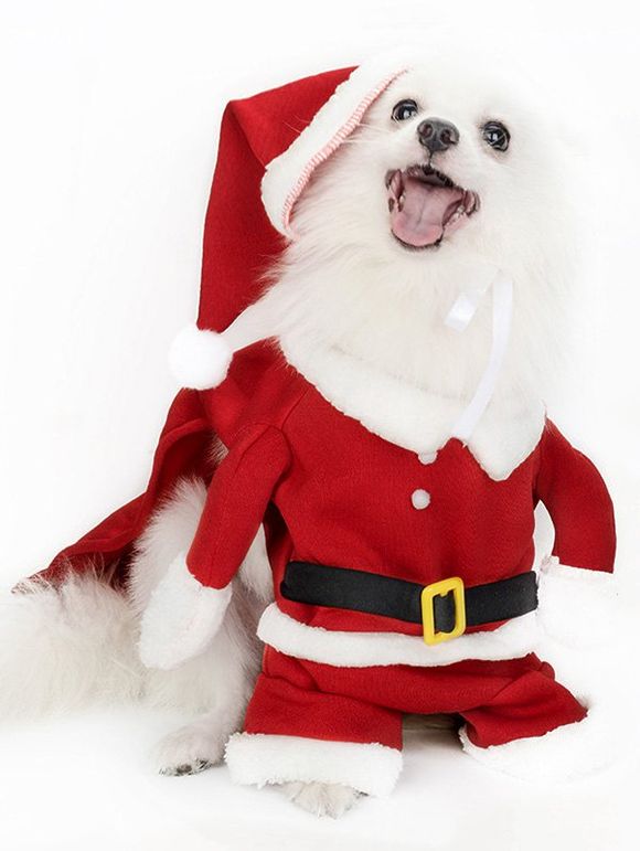 Ensemble Vêtement de Noël pour Animal Domestique - multicolor 