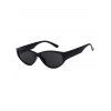 Slim Eye Frame Wide Temple Sunglasses - BLACK 