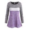 T-shirt Teinté en Blocs de Couleurs de Grande Taille à Manches Longues - Violet clair L
