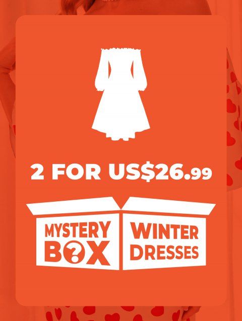 DRESSLILY MYSTERY BOX of 2 Winter Dresses