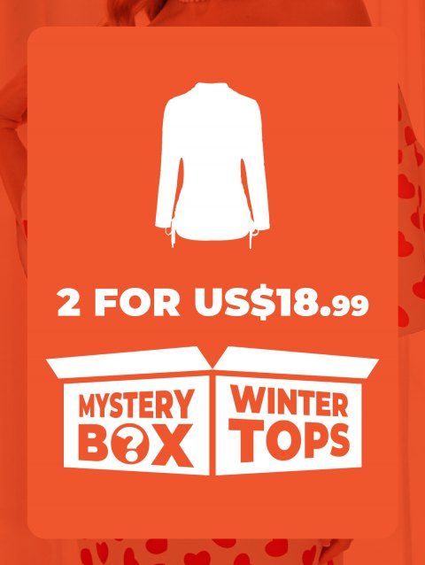 DRESSLILY MYSTERY BOX of 2 Winter Tops
