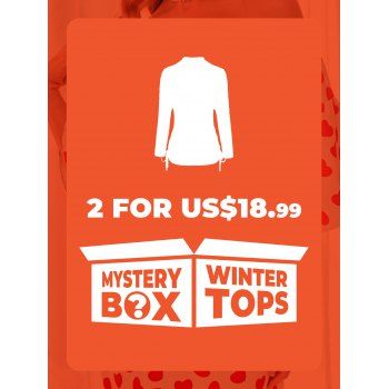 

DRESSLILY MYSTERY BOX of 2 Winter Tops, Multicolor