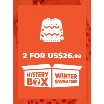 

DRESSLILY MYSTERY BOX of 2 Winter Sweaters, Multicolor