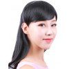 Hair Extension Heat Resistant Synthetic Wig Blunt Side Bang Headband - BLACK 