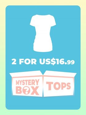 DRESSLILY MYSTERY BOX of 2 Tops