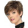 Short Wig Highlight Wig Straight Side Part Heat Resistance Synthetic Hair - multicolor B 