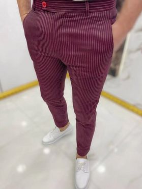 Pockets Zipper Fly Pants Striped Print Long Pants Casual Pants